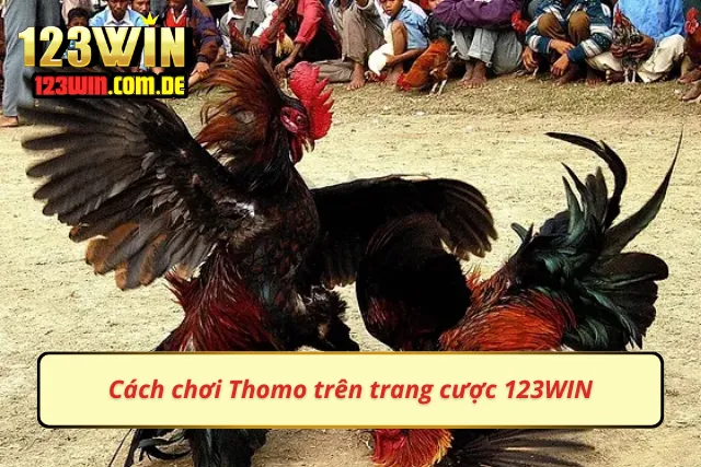 Cách chơi cực chuẩn trên trang cược uy tín