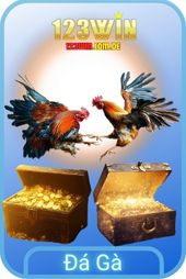 123Win Đá Gà