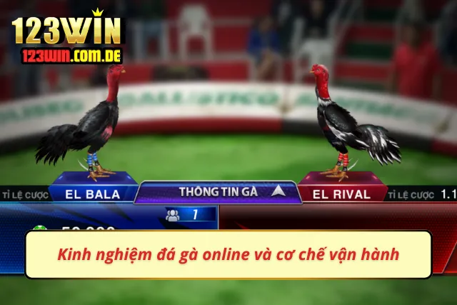 Điều mà đa số người chơi mới quan tâm